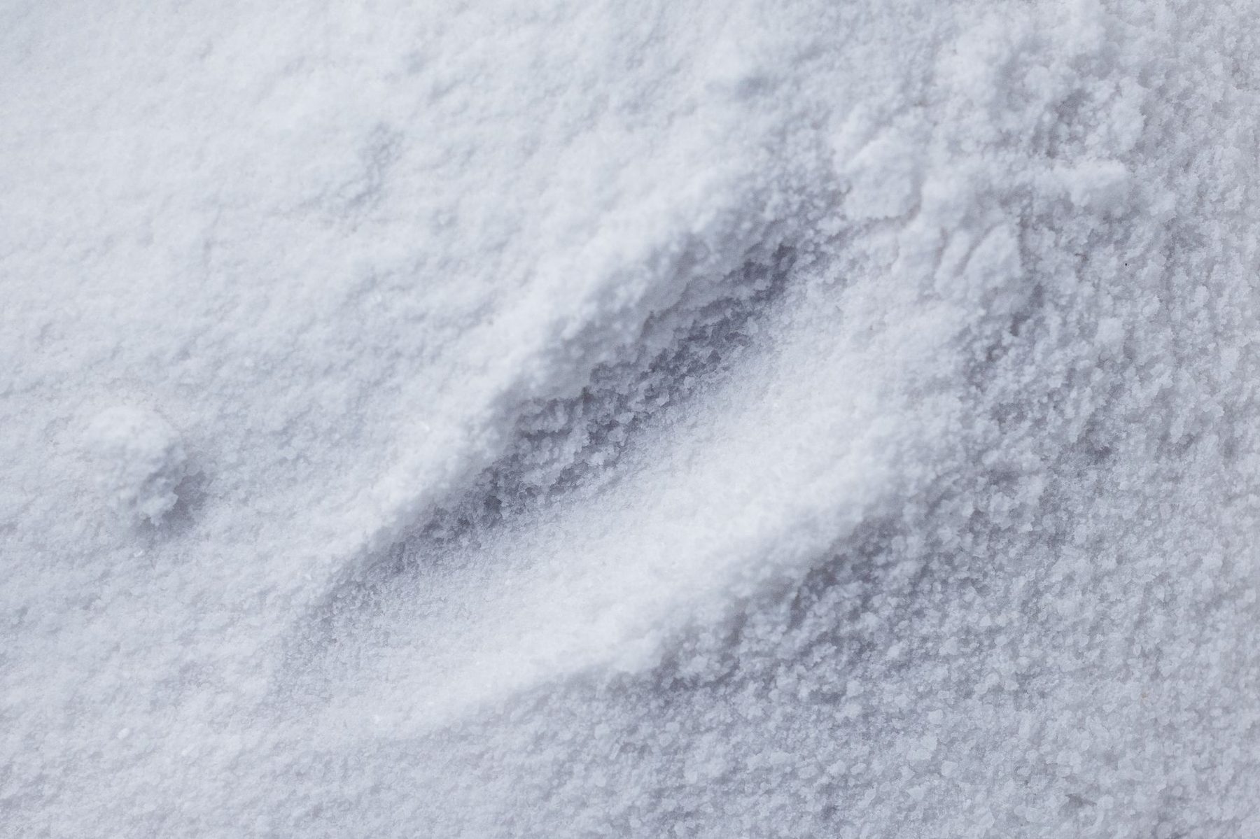 Poudre blanche fine d'oxyde de zinc